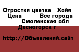 Отростки цветка  “Хойя“ › Цена ­ 300 - Все города  »    . Смоленская обл.,Десногорск г.